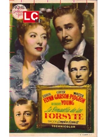 THAT FORSYTE WOMAN