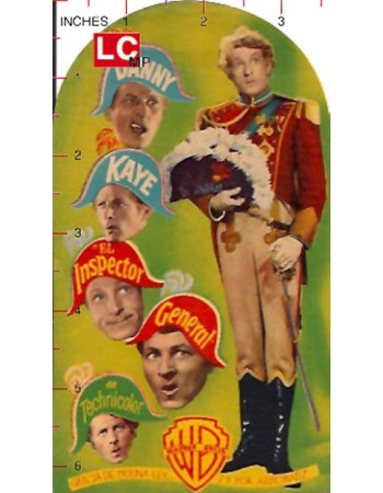 THE INSPECTOR GENERAL