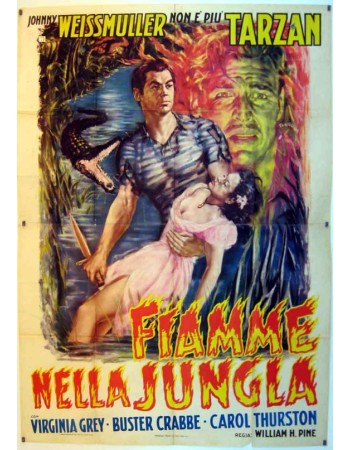 SWAMP FIRE