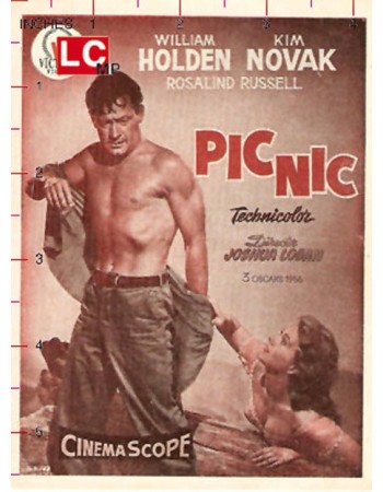 PICNIC