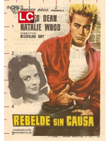 REBEL WITHOUT A CAUSE