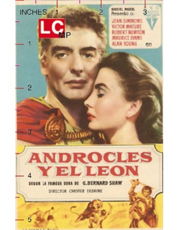 Androcles and the Lion