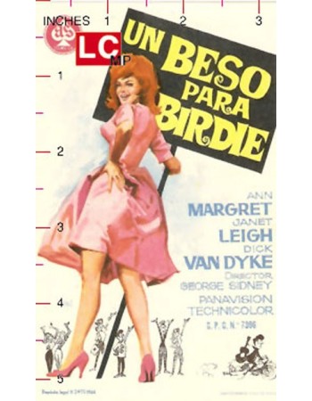 Bye Bye Birdie