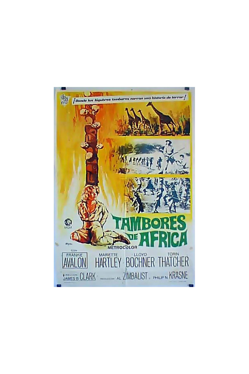 DRUMS OF AFRICA