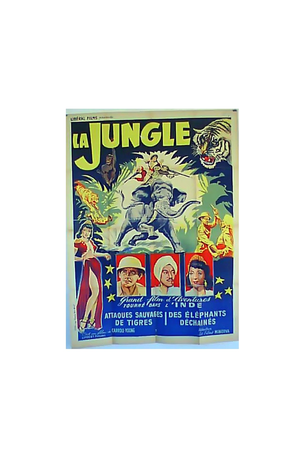 THE JUNGLE