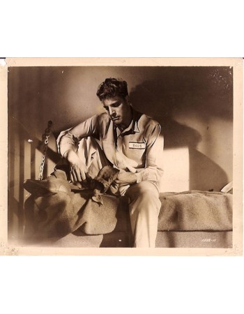 BURT LANCASTER
