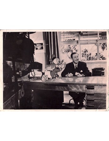 WALT DISNEY