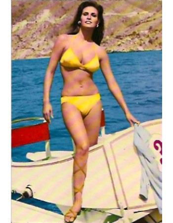 RAQUEL WELCH