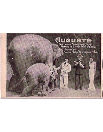 AUGUSTE