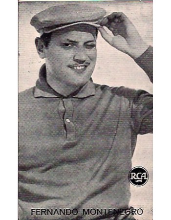 FERNANDO MONTENEGRO