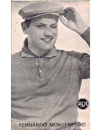 FERNANDO MONTENEGRO