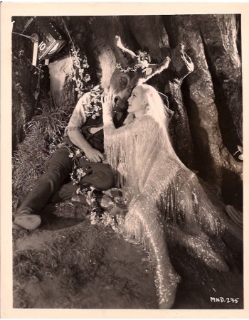 A MIDSUMMER NIGHT'S DREAM