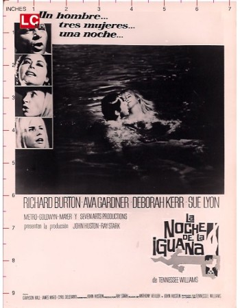 THE NIGHT OF THE IGUANA