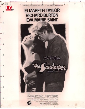 THE SAND PIPER