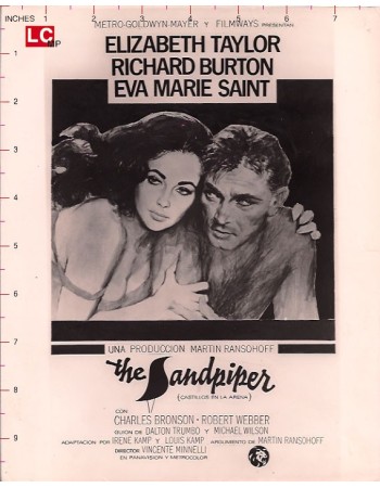 THE SAND PIPER