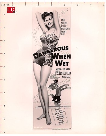 DANGEROUS WHEN WET