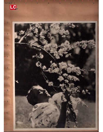 SONG OF SONGS