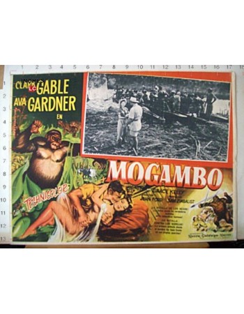 MOGAMBO