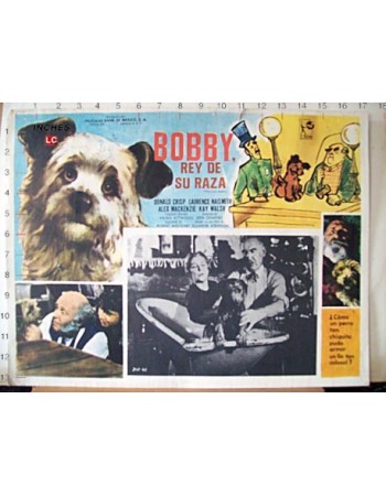 Greyfriars Bobby: The True Story of a Dog
