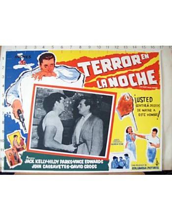 THE NIGHT HOLDE TERROR