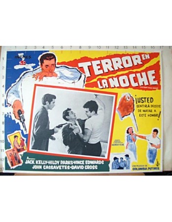 THE NIGHT HOLDE TERROR