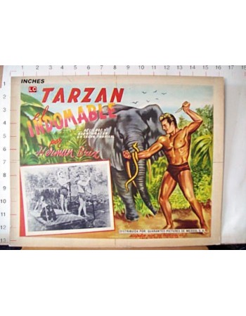 THE NEW ADVENTURES OF TARZAN
