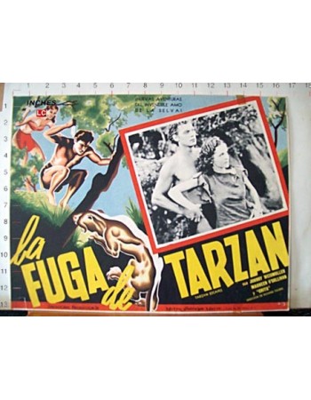TARZAN ESCAPES