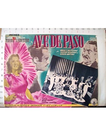 AVE DE PASO