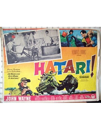 HATARI