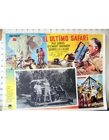 THE LAST SAFARI