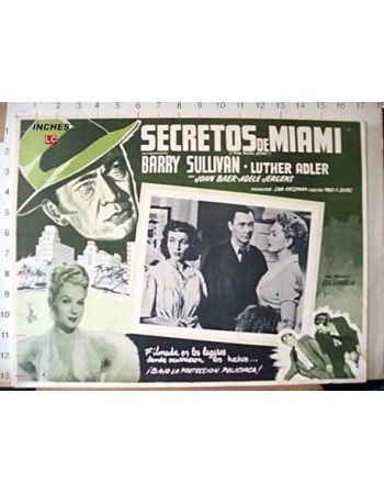 THE MIAMI STORY