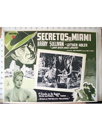 THE MIAMI STORY