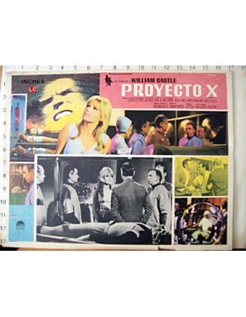 Project X
