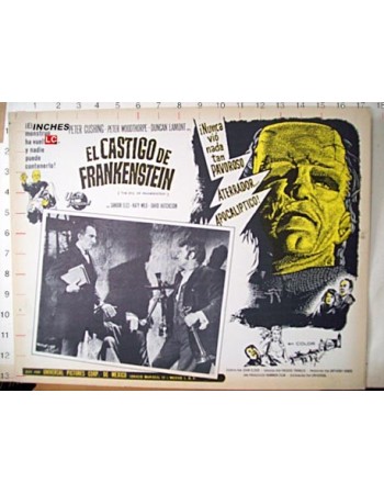 THE EVIL OF FRANKENSTEIN