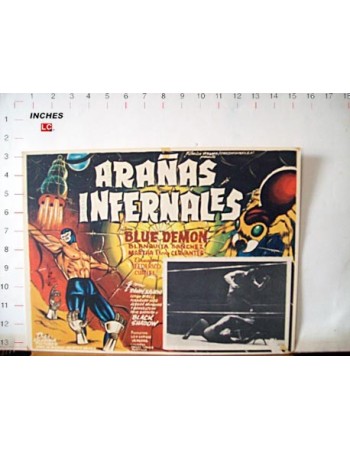 ARAÑAS INFERNALES