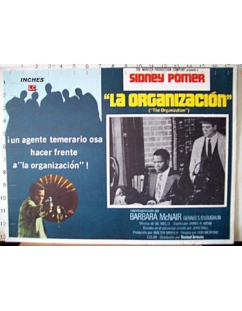 THE ORGANIZATION