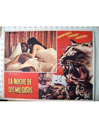 NOCHE DE LOS MIL GATOS, LA