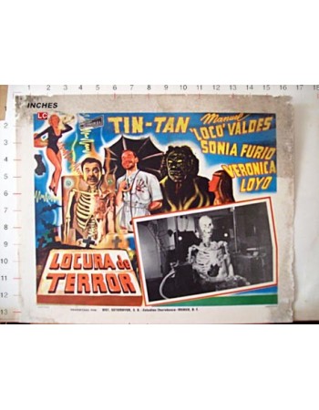 LOCURA DE TERROR