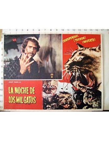NOCHE DE LOS MIL GATOS, LA