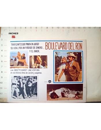 Boulevard du Rhum