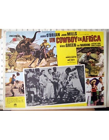 Africa: Texas Style