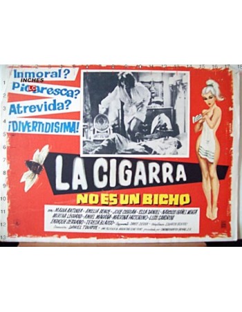 LA CIGARRA NO ES UN BICHO