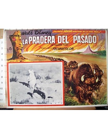THE VANISHING PRAIRE