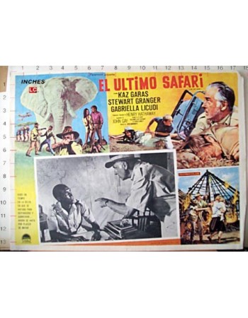 THE LAST SAFARI
