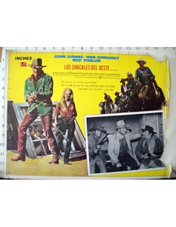 THE TRAIN ROBBERS