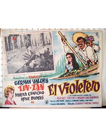 EL VIOLETERO