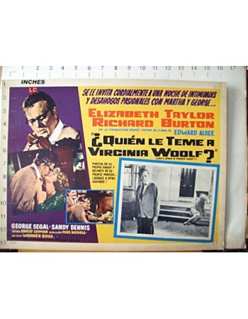 WHO'S AFRAID OF VIRGINIA WOOLF?