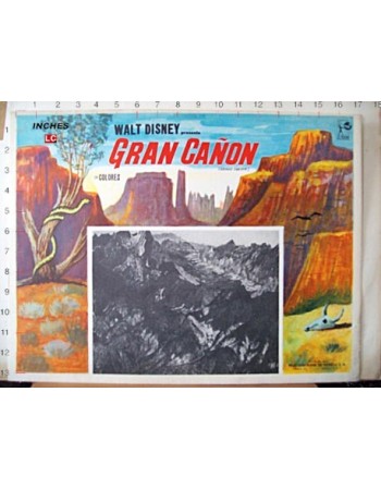 GRAND CANYON