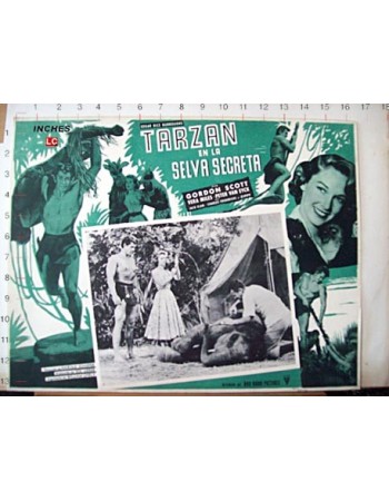 TARZANS HIDDEN JUNGLE