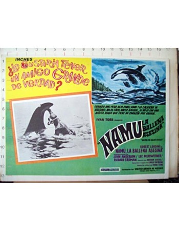 NAMU, THE KILLER WHALE